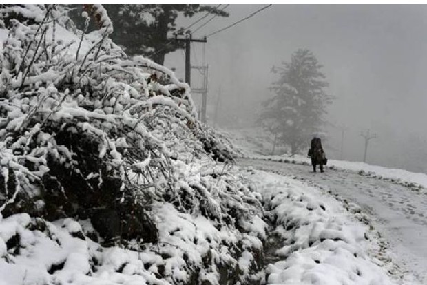 In Pics: Parts of Kashmir, Ladakh covered in snow after fresh snowfall