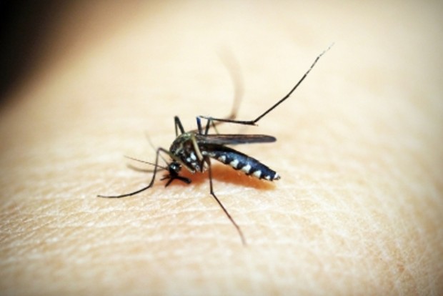 Uttar Pradesh first Zika virus case found in Kanpur