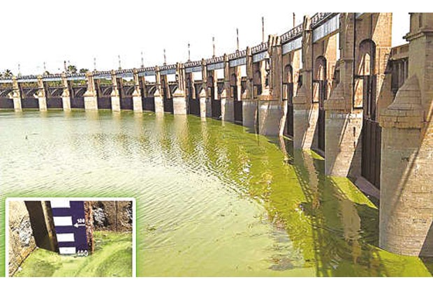 Mettur dam storage reaches 100 feet mark Mettur dam storage reaches 100 feet mark