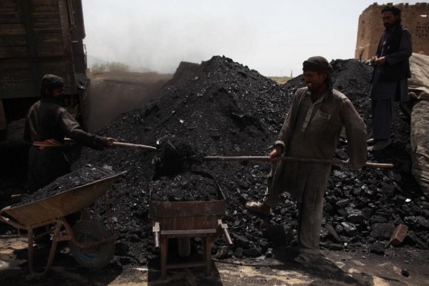 AAI writes to PMO for resumption of coal supplies