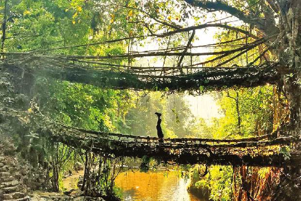 ‘Wellness tourism gaining prominence among travellers’