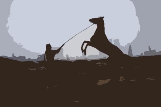 Horse’s death: PETA cautions filmmakers