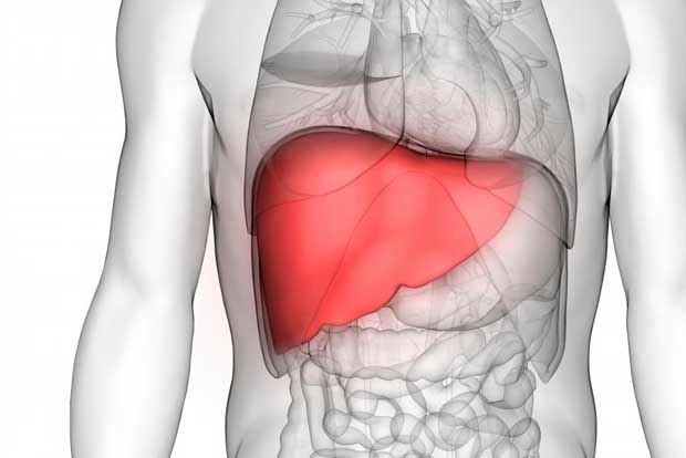 Some liver transplant recipients not at risk of Covid death: Study