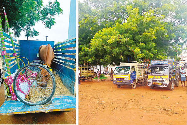 14 horses detained with carts prior to rekla race on Outer Ring Road 14 horses detained with carts prior to rekla race on Outer Ring Road
