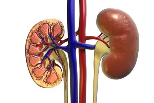 Long COVID complications causing severe kidney damage, say doctors