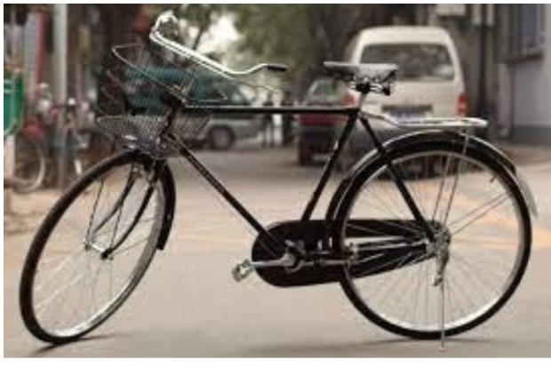 Maha: 21-year-old woman aims to create environment awareness with cycling mission Maha: 21-year-old woman aims to create environment awareness with cycling mission