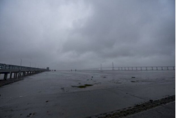 Classes suspended, transportation hit as Chinas Zhejiang upgrades typhoon response