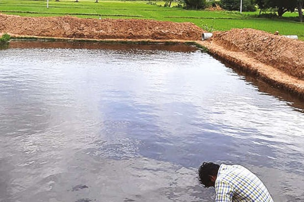 Tiruvannamalai sets record with 1,121 farm ponds in 30 days