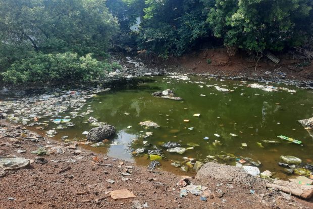 Kallikuppam pond a cesspool, residents seek action against mosquito breeding Kallikuppam pond a cesspool, residents seek action against mosquito breeding