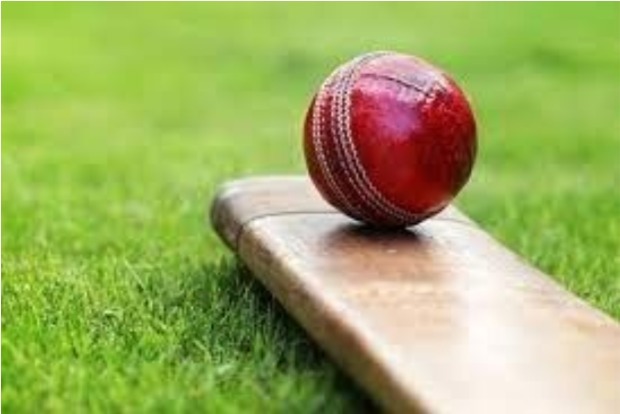 Harish’s 5-wicket haul in vain as UFCC loses Harish’s 5-wicket haul in vain as UFCC loses