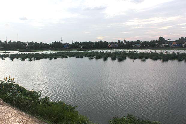 HC directs TN to fix time frame for removal of encroachments near Chitlapakkam Lake