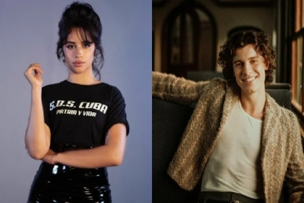 Camila Cabello welcomes Shawn Mendes to Global Citizen Fest with PDA on stage Camila Cabello welcomes Shawn Mendes to Global Citizen Fest with PDA on stage