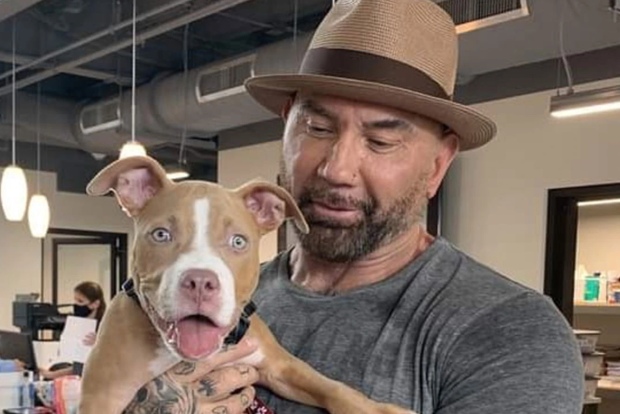 Dave Bautista adopts neglected puppy, pledges money to find person responsible