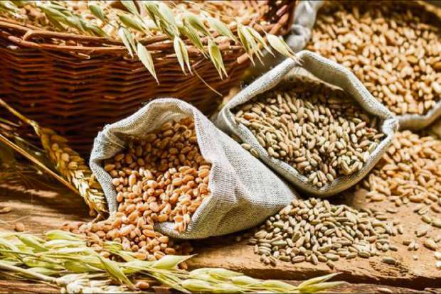 All you need to know about gluten free grains