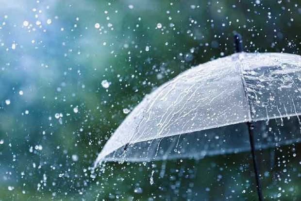 Country receives normal rainfall during June-Sept: IMD