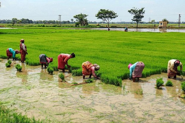 Subsidies to fall 39 pc to Rs 4.33 lakh cr in FY22, Rs 3.18 lakh cr in FY23