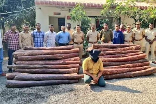 Real life Pushpa smuggling red sandalwood via train caught in Delhi