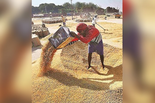 Centre will form panel on MSP after polls, assures Agri Minister Centre will form panel on MSP after polls, assures Agri Minister