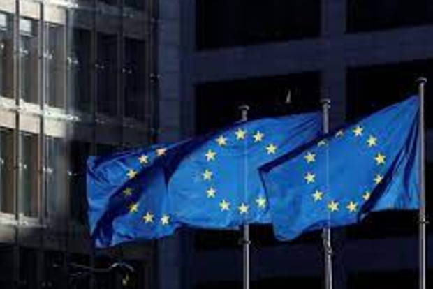 Euro zone bond yields fall as market calms after ECB rout