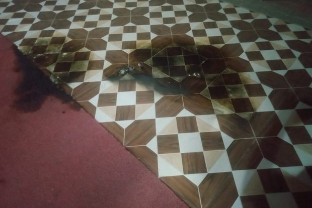 Molotov cocktail hurled at BJP office in T Nagar, suspect detained