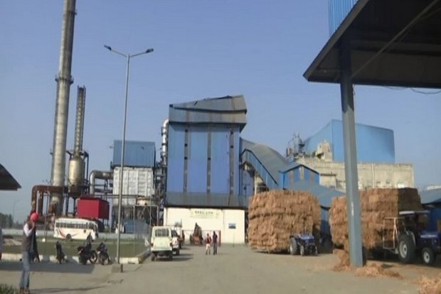 Punjab based plant generates electricity using paddy stubble