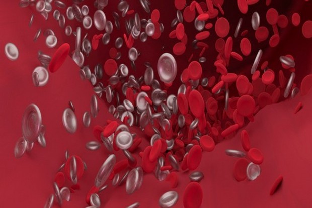 Mechanical blood clot removal showed positive results in half of stroke patients: Study