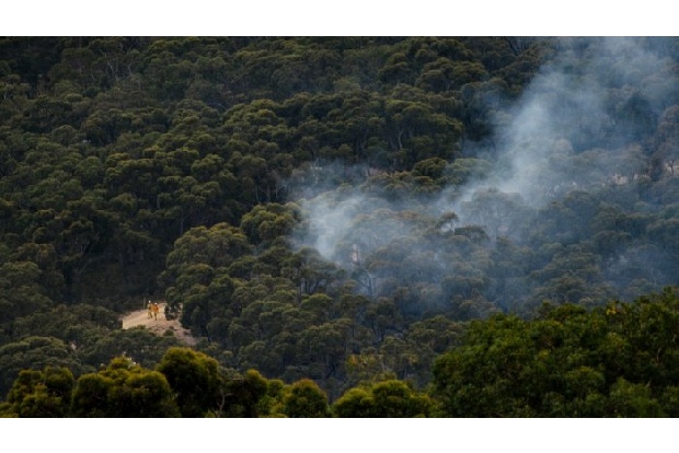 World-first research confirms Australia’s forests became catastrophic fire risk after British invasion