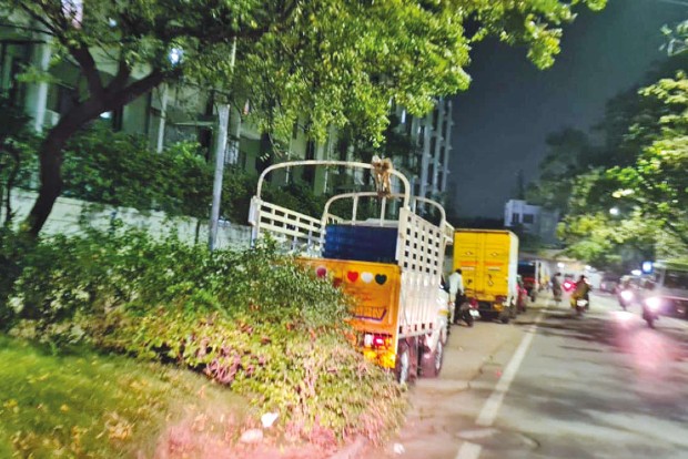 Crime and stench, Tondiarpet residents have had enough