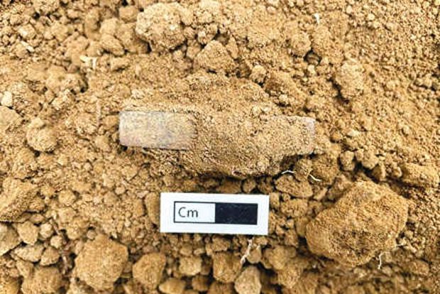 Four-face dice, believed to be ivory, found at Keezhadi excavation site