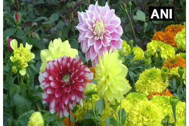 Flower festival organized in West Bengals Siliguri