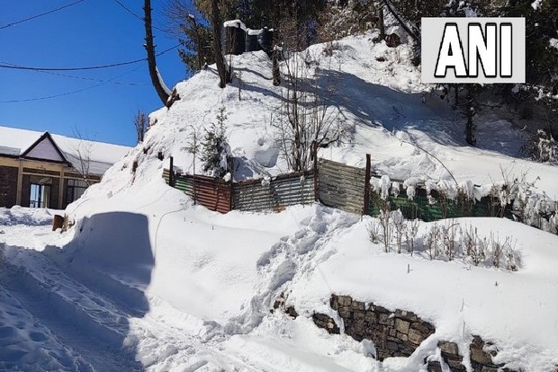 Shimla receives fresh spell of snowfall Shimla receives fresh spell of snowfall