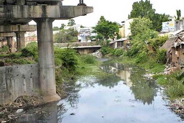 Report sought on dumping of waste into Buckingham Canal