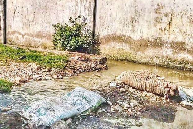 Residents rue pollution as sewage flows into Ambattur lake Residents rue pollution as sewage flows into Ambattur lake