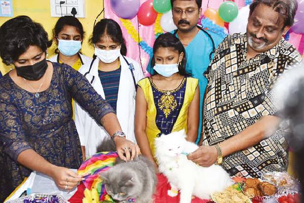 Coimbatore man hosts lavish baby shower for pregnant Persian cats