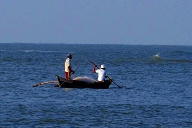 High Commission engaged with Lankan authorities for early release of remaining Indian fishermen: MEA