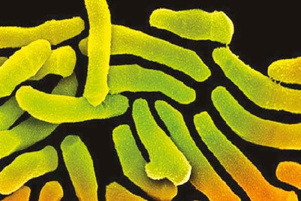 Every pore on your face is a walled garden