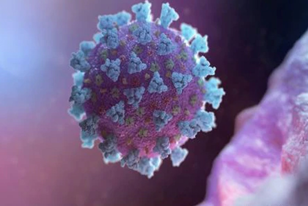 T-cells from common colds can provide protection against COVID-19 - study T-cells from common colds can provide protection against COVID-19 - study