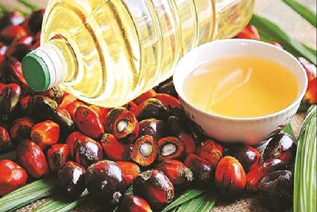 Editorial: Bogey of palm oil health concerns Editorial: Bogey of palm oil health concerns