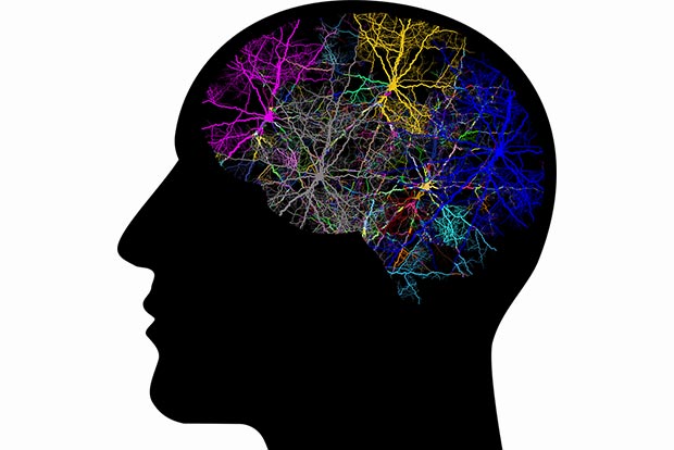 Brain networks enable human conversation: Study