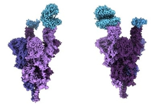 Indian-origin scientist creates 1st molecular structure of Omicron protein Indian-origin scientist creates 1st molecular structure of Omicron protein