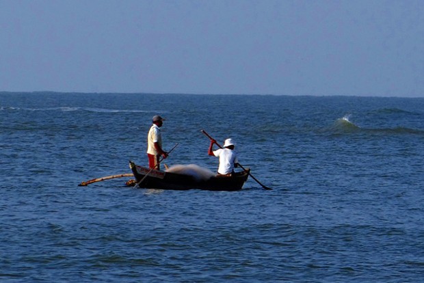 US Coast Guard searching for 39 missing off Florida