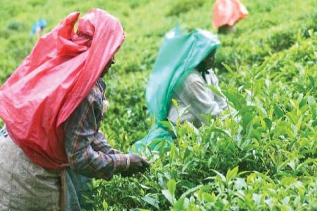 TN: Badagas protest seeking ST status for community