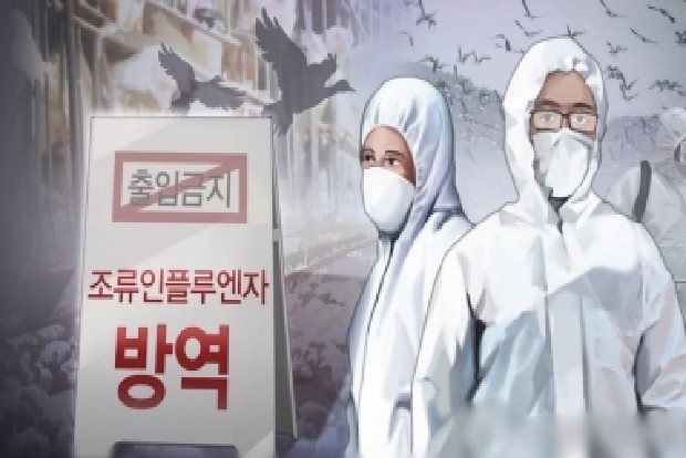 South Korea confirms highly pathogenic bird flu case