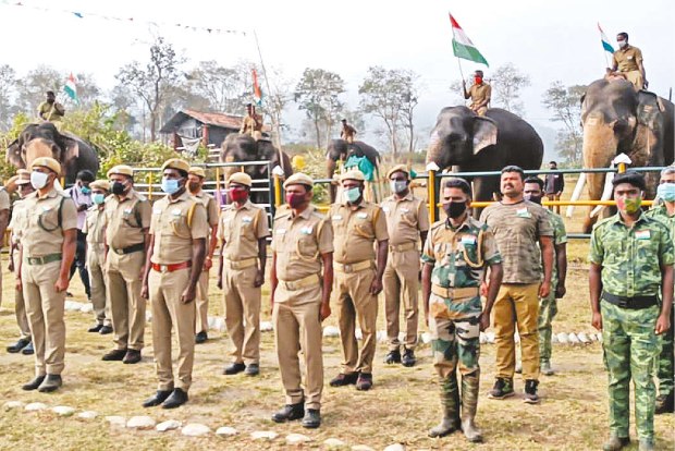 Elephants participate in R-Day celebrations at MTR