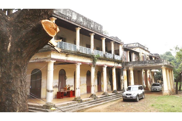 Axing of trees in Adyar exposes lack of policy to protect green cover on pvt lands