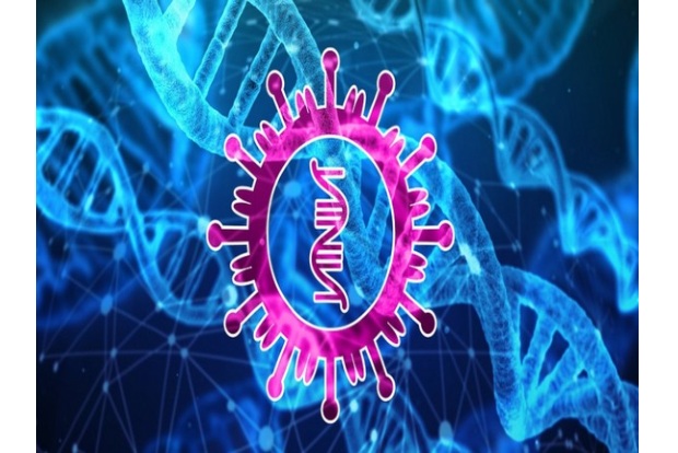 Researchers identify altered gene expression and cell interactions in COPD