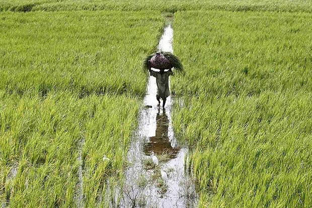 Farmers in Pakistan announce plans to march in Islamabad