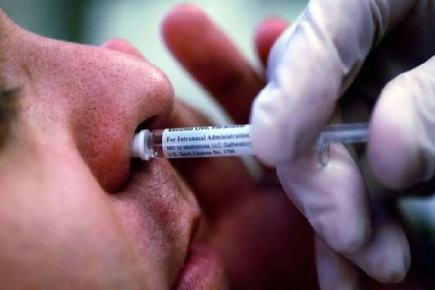Intranasal flu vaccine with nanoparticles offers robust protection: Study