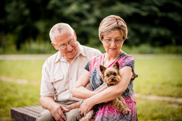 A high sense of purpose in life lowers death risk