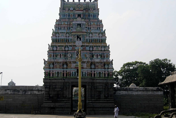 Give 4 dhotis to follow dress code: Temple staff